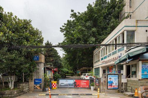 風林假日 風林假日