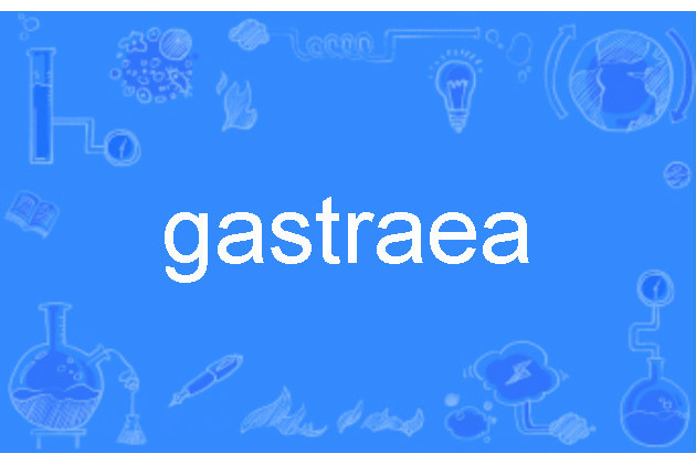gastraea gastraea