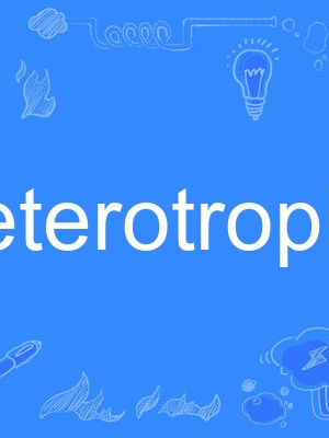 heterotroph heterotroph
