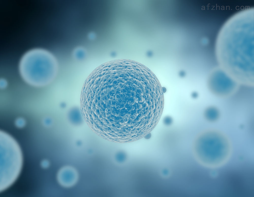 間充質幹細胞