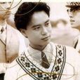 紅樓夢(李克勤演唱歌曲) 紅樓夢(李克勤演唱歌曲)