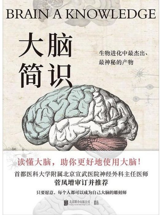 大腦簡識 大腦簡識