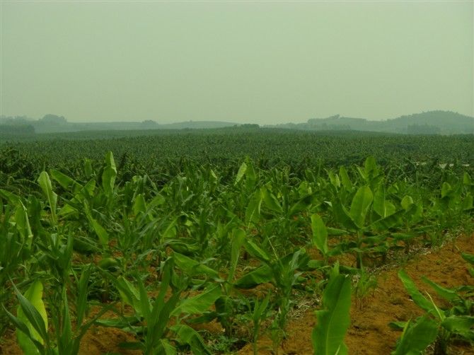 馬倫村 馬倫村