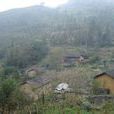 小水井村(雲南省文山州西疇縣法斗鄉小水井村) 小水井村(雲南省文山州西疇縣法斗鄉小水井村)