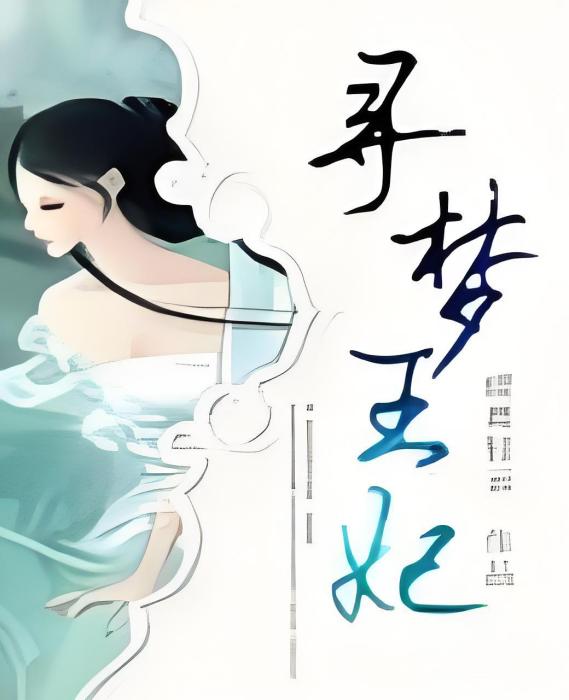 尋夢王妃 尋夢王妃