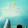 盛夏(陳飛宏執導電影) 盛夏(陳飛宏執導電影)