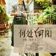 何處向陽 何處向陽