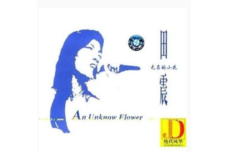 感謝你(田震演唱歌曲) 感謝你(田震演唱歌曲)