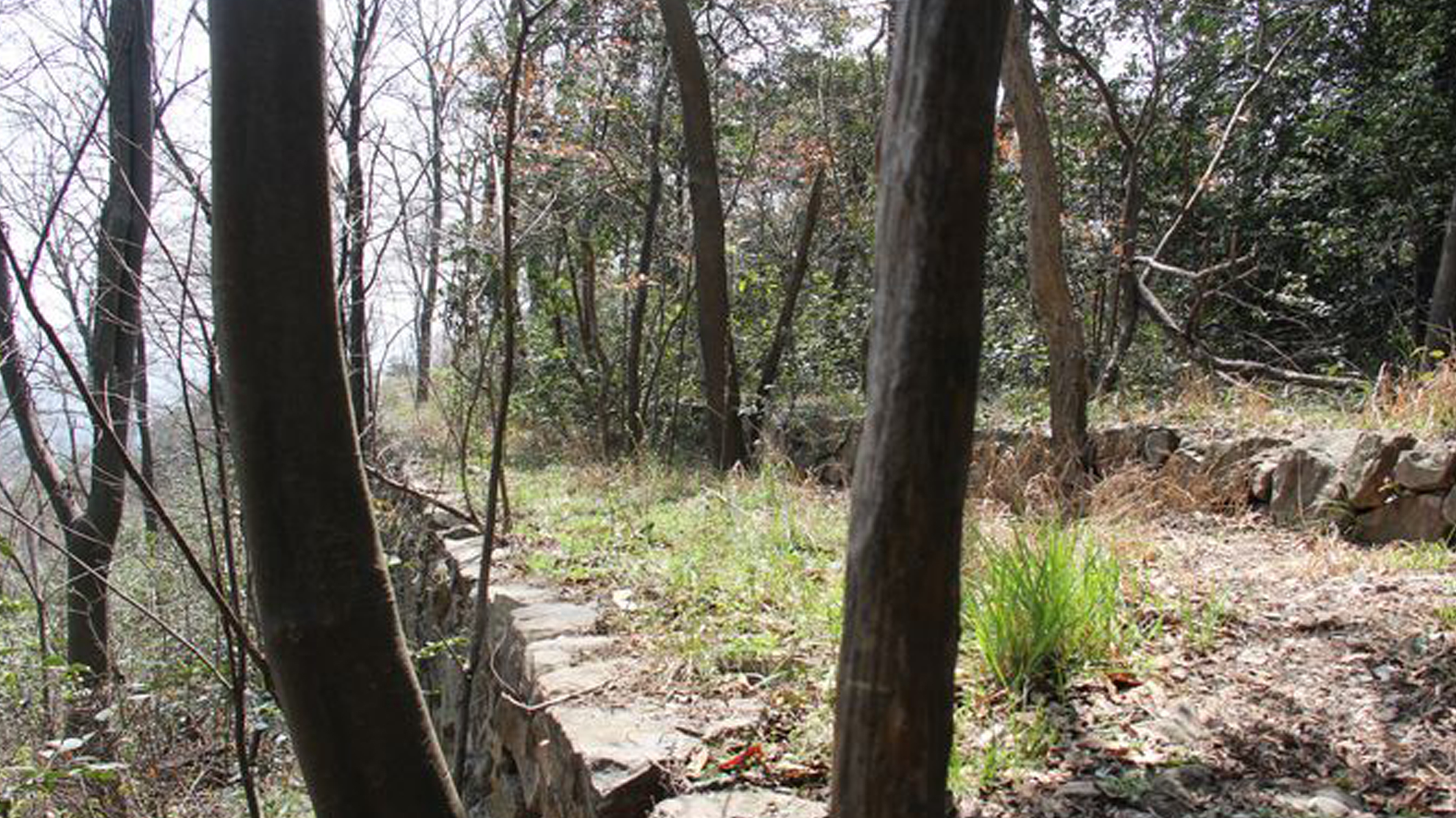 鐘山建築遺址