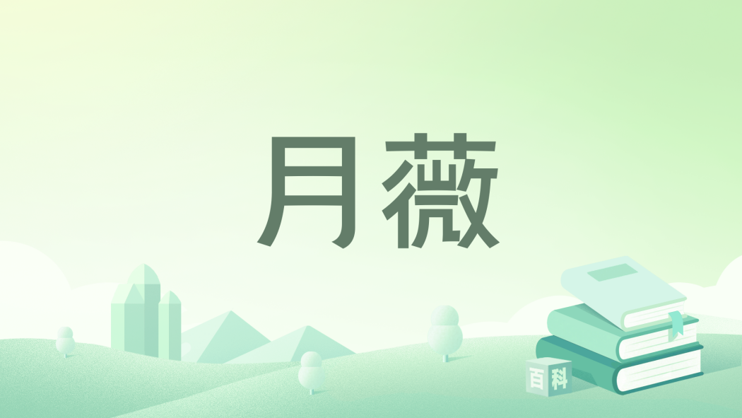月薇 月薇