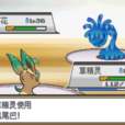 搖尾巴 搖尾巴