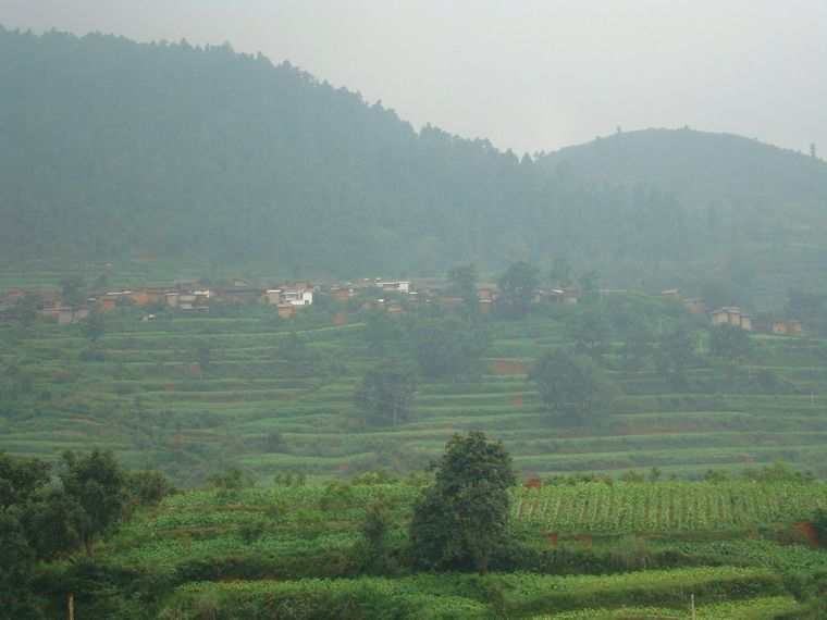 石塘坡村 石塘坡村