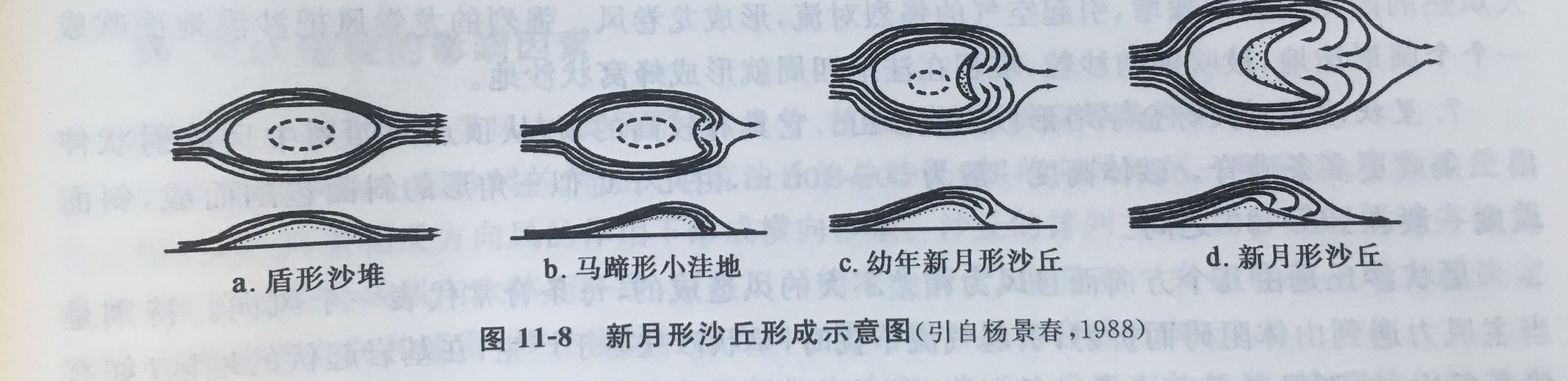 新月形沙丘