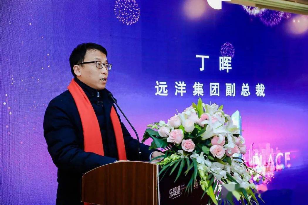 丁暉(遠洋集團高管)