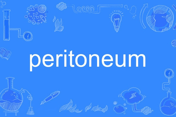 peritoneum peritoneum