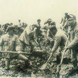 軍墾農場(湖北天門沉湖軍墾農場) 軍墾農場(湖北天門沉湖軍墾農場)