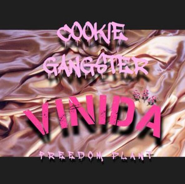 Cookie Gangster Cookie Gangster