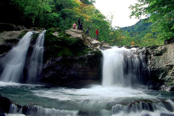 千層河 千層河