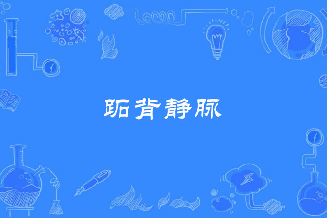 跖背靜脈 跖背靜脈