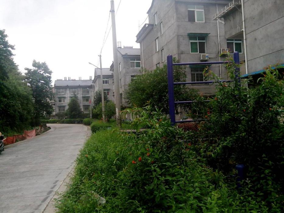 張寸村(浙江龍泉市龍淵街道下轄村) 張寸村(浙江龍泉市龍淵街道下轄村)