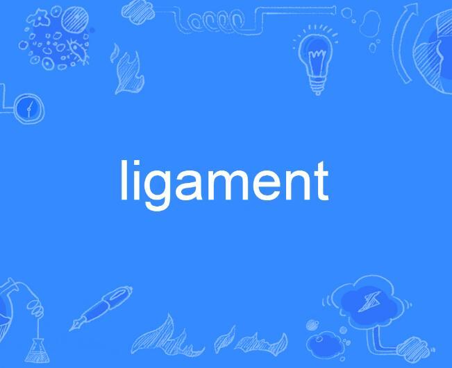 ligament ligament