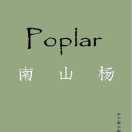 南山楊 南山楊