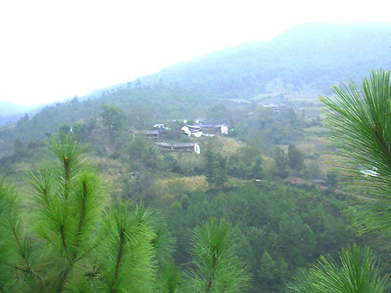 勒子箐村 勒子箐村