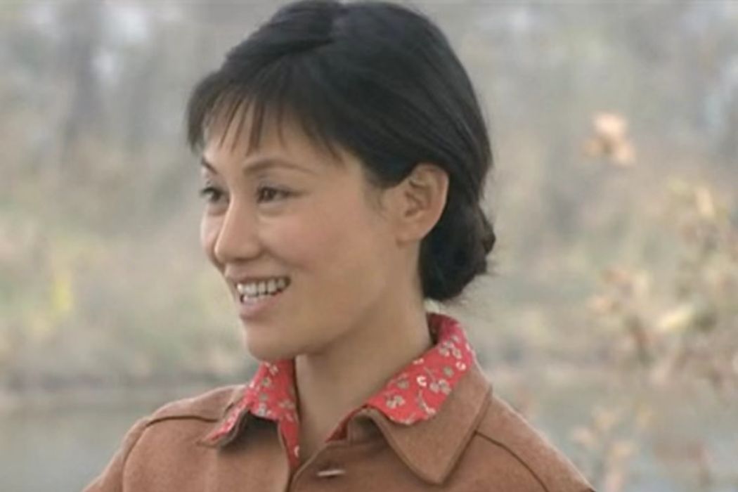 韓玉(農村題材劇《金色農家》中的角色) 韓玉(農村題材劇《金色農家》中的角色)