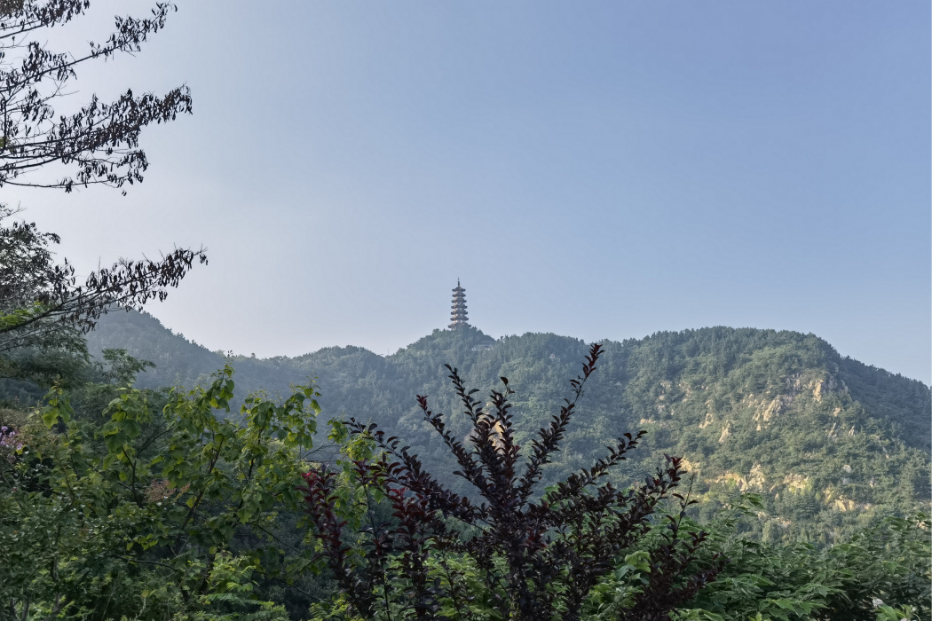 東塔子山 東塔子山