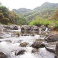 南開河 南開河