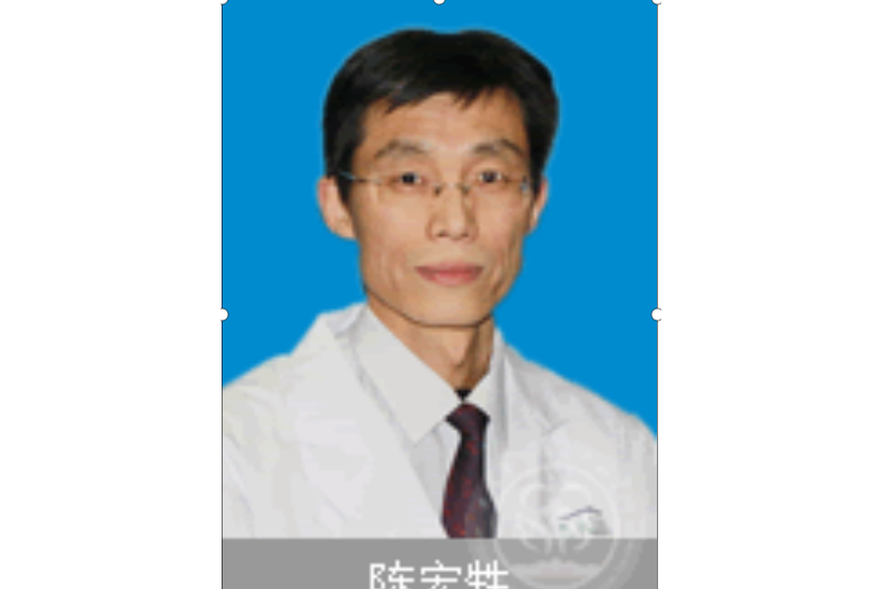 陳宏甡 陳宏甡