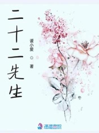二十二先生 二十二先生