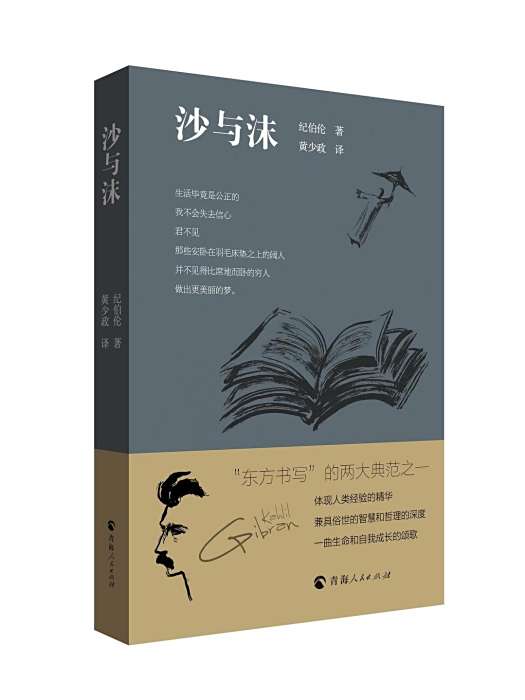 沙與沫(2022年青海人民出版社出版的圖書) 沙與沫(2022年青海人民出版社出版的圖書)