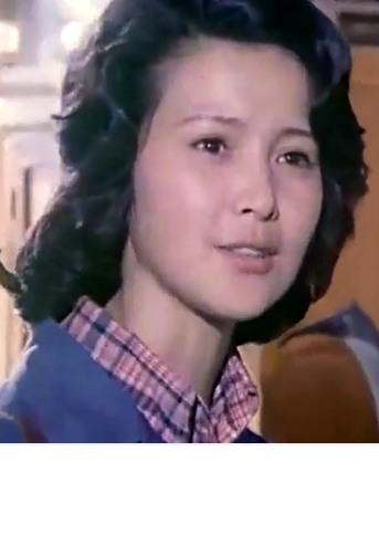 飛來的仙鶴