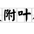 枝附葉從 枝附葉從