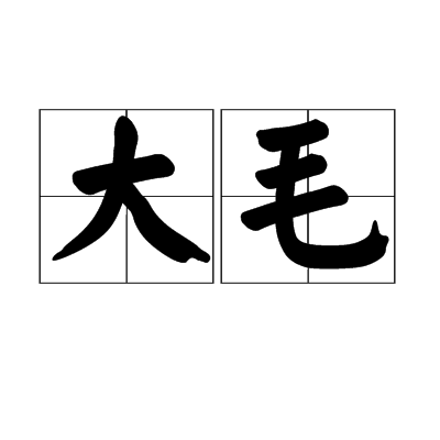大毛(漢語辭彙)