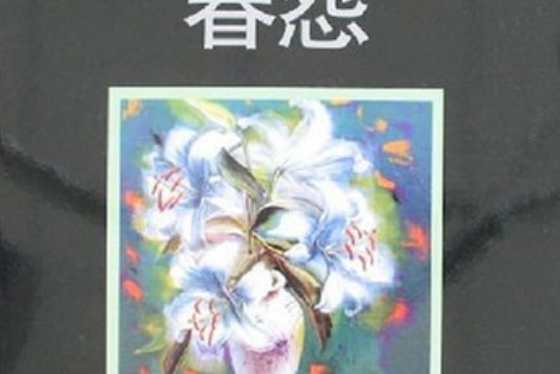 春怨(2007年文化藝術出版社出版的圖書)