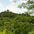 泉州森林公園 泉州森林公園