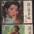 流浪王妃 流浪王妃
