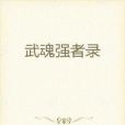 武魂強者錄 武魂強者錄