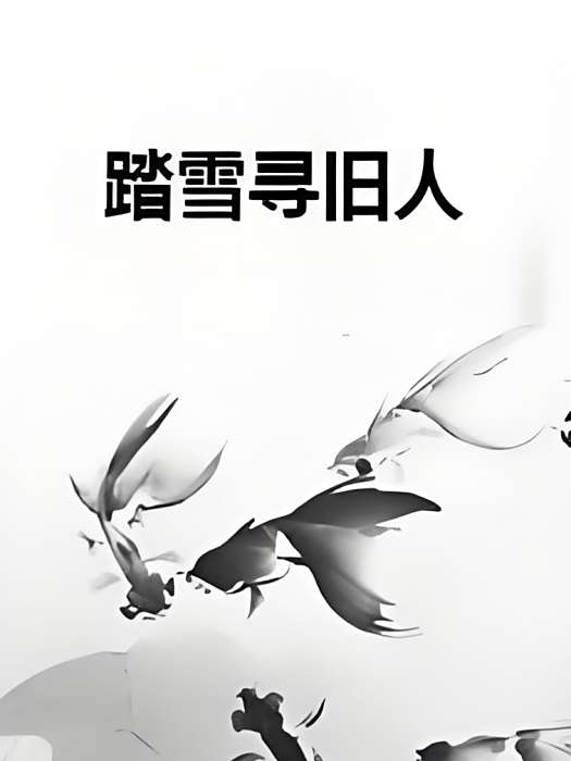 踏雪尋舊人 踏雪尋舊人