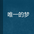 唯一的夢 唯一的夢