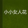 小小女人花 小小女人花