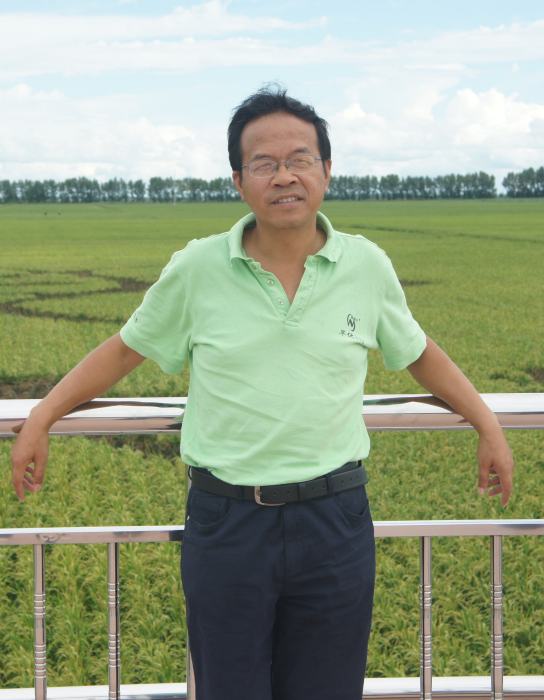 何予卿 何予卿
