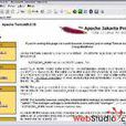 Flex第一步：基於ActionScript3.0的Flex2套用開發(Flex第一步)