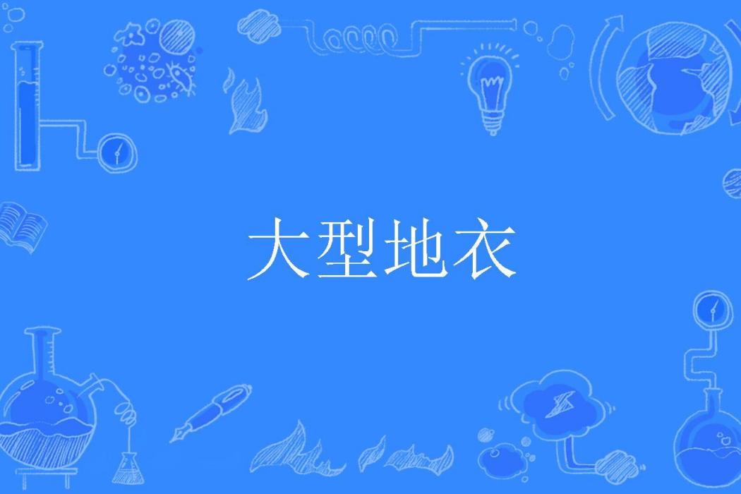 大型地衣 大型地衣
