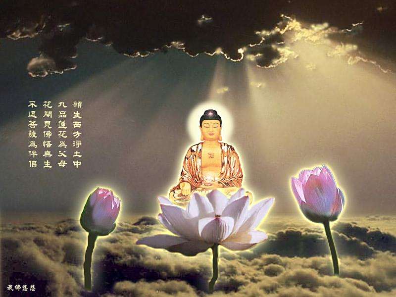 割耳救雉 割耳救雉