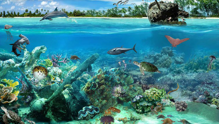 太平洋珊瑚礁(地質地貌)