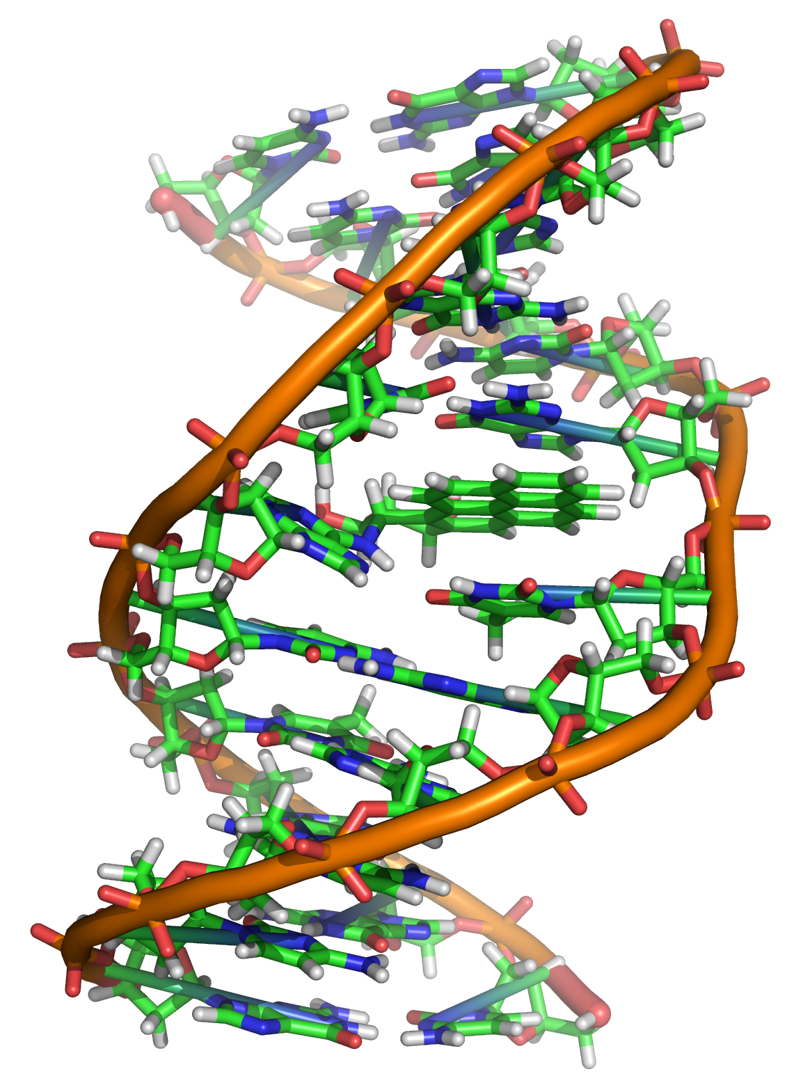 DNA加合物