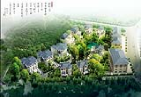 竹影新園 竹影新園